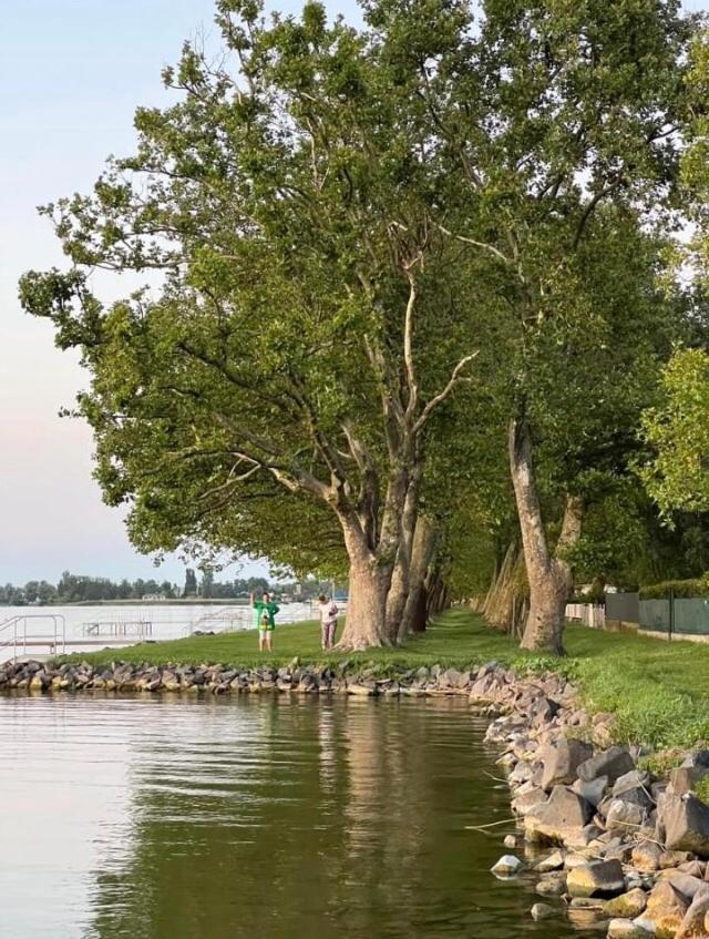 Villa Rozsa Nyaralohaz Balatonboglár Exterior foto