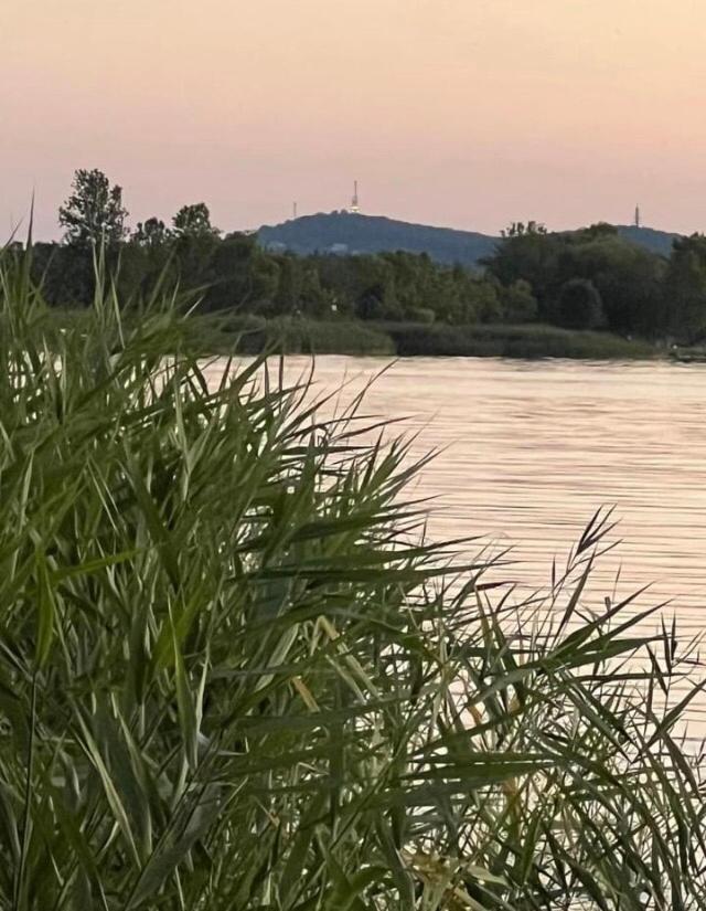 Villa Rozsa Nyaralohaz Balatonboglár Exterior foto